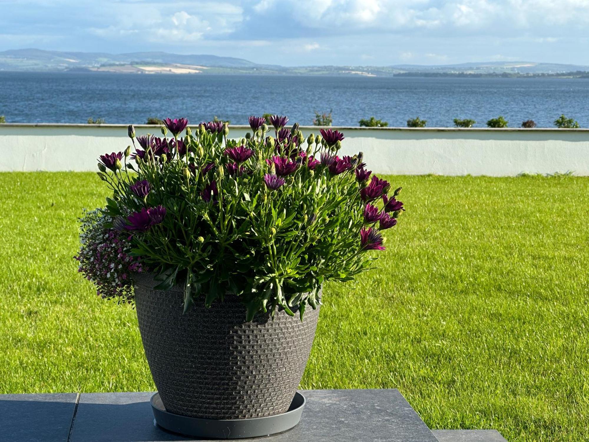 Sea Vista - Rathmullan Vila Exterior foto